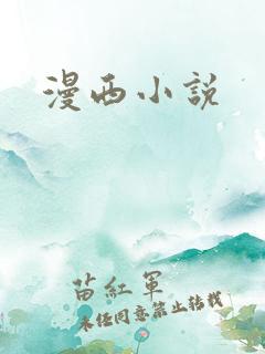 漫西小说