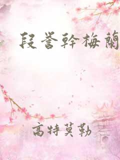 段誉干梅兰竹菊