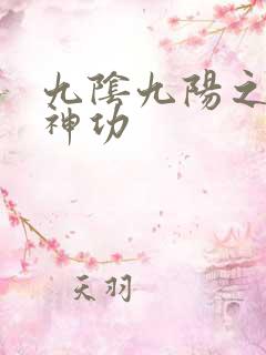 九阴九阳之阴阳神功