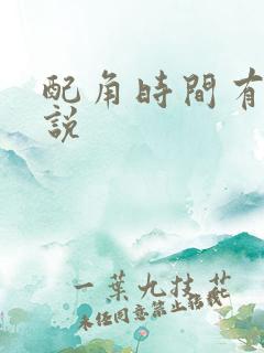 配角时间有限小说