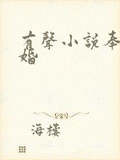 有声小说奉子成婚