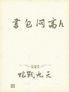 书包网高h