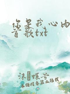 你是我心内的一首歌txt