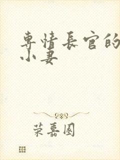 专情长官的天价小妻