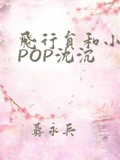 飞行员和小空乘POP沈沉