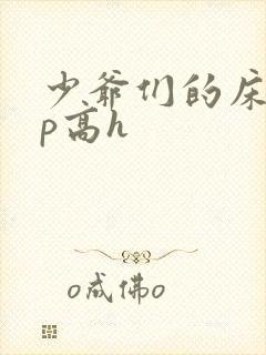 少爷们的床奴np高h