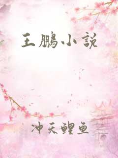 王鹏小说