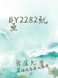 BY2282鱿鱼