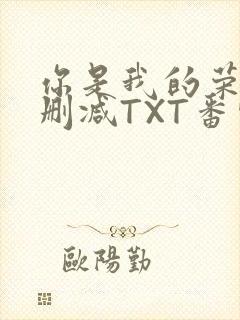 你是我的荣耀未删减TXT番外