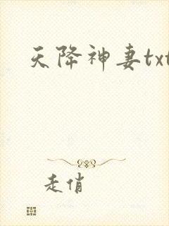 天降神妻txt