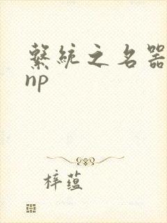 系统之名器攻略np