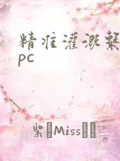 精准灌溉系统npc