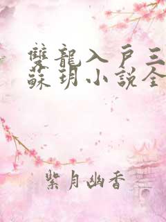 双龙入户三人行苏玥小说全文阅读