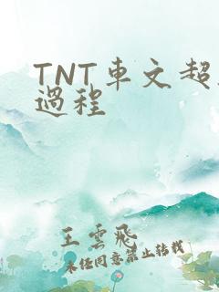 TNT车文超细过程