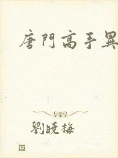 唐门高手异界游