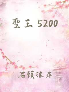 圣王 5200