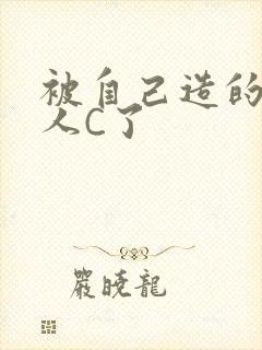 被自己造的机器人C了