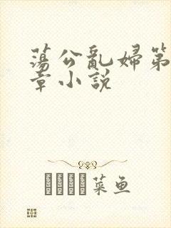 荡公乱妇第51章小说