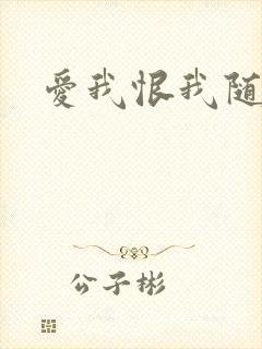 爱我恨我随便你