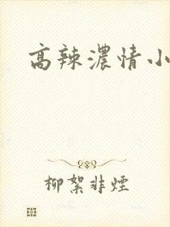 高辣浓情小说