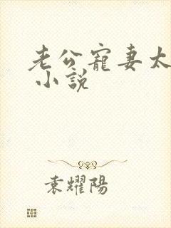 老公宠妻太甜蜜 小说