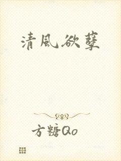 清风欲孽
