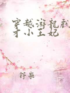 穿越游龙戏凤天才小王妃