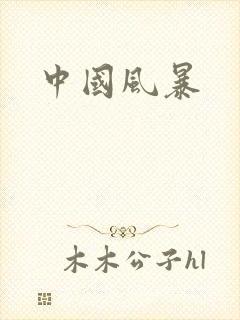 中国风暴