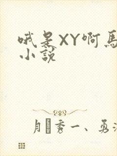 哦是XY啊马仔小说