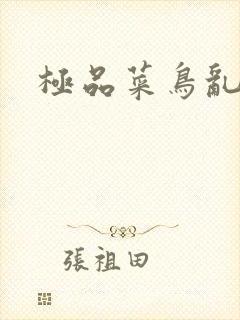 极品菜鸟乱江湖