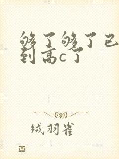 够了够了已经满到高c了