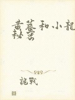 黄蓉和小龙女的秘密