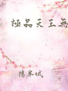 极品天王无弹窗