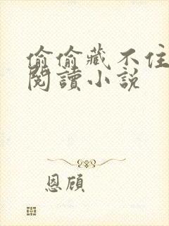 偷偷藏不住免费阅读小说