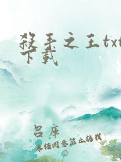 杀手之王txt下载