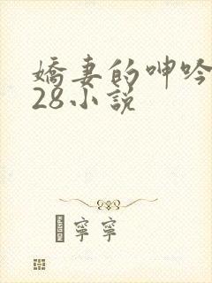 娇妻的呻吟1—28小说