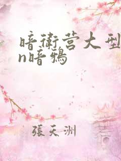 暗卫营大型hpn暗鸦