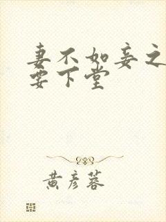 妻不如妾之夫人要下堂