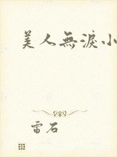 美人无泪小说