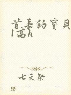 首长的宝贝1v1高h