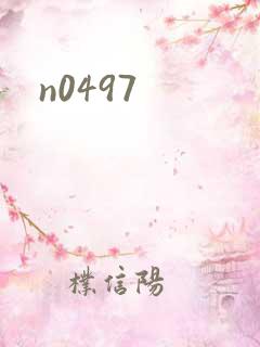 n0497