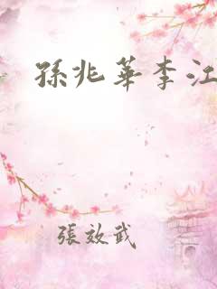 孙兆华李江小说