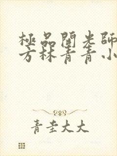 极品开光师李南方林青青小说免费阅读