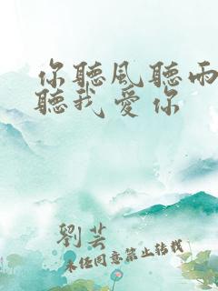 你听风听雨却不听我爱你