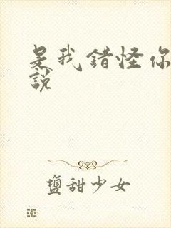 是我错怪你了小说