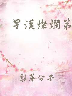 星汉灿烂第二部
