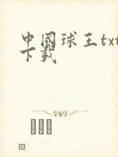 中国球王txt下载