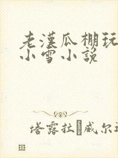 老汉瓜棚玩小丹小雪小说