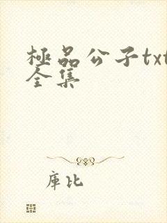极品公子txt全集