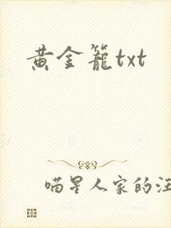 黄金笼txt